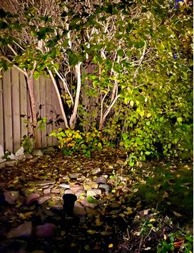 Aneta Lighting BACKE spot, på spyd ute, svart, GU10, IP44, 5 m kabel (7392986791168)