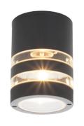 Aneta Lighting RIBB taklampe ute, svart, E27, IP44