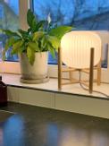 Aneta Lighting VINDA bordlampe,  tre/hvit, med glasskuppel (7392986772846)