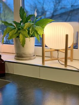 Aneta Lighting VINDA bordlampe,  tre/hvit, med glasskuppel (7392986772846)