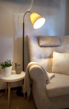 Aneta Lighting LJUSDAL golvlampe 1-arm, svart/ matt messing, E27 (7392986775168)