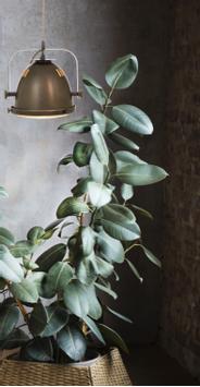 Aneta Lighting ALASKA taklampe, jerngrå, E27 (7041661268036)