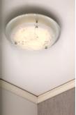 Aneta Lighting DENISE plafond, hvit/ krom,  8W LED (7041661261495)
