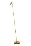 Aneta Lighting ARTIC gulvlampe,  matt messing, 6W LED (7041661268012)