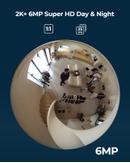 Reolink FE-P 360° Panorama Fisheye-kamera PoE DEMOVARE (Reolink-FE-P-DEMO)