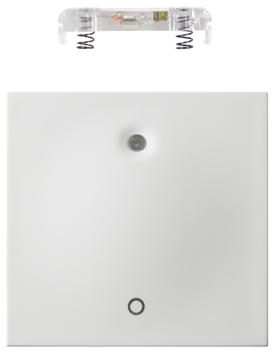 ELKO Plus vippe m/lys 2P PH