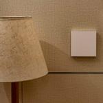 Aqara Smart Wall Switch H1 (No Neutral) Single Rocker (WS-EUK01)