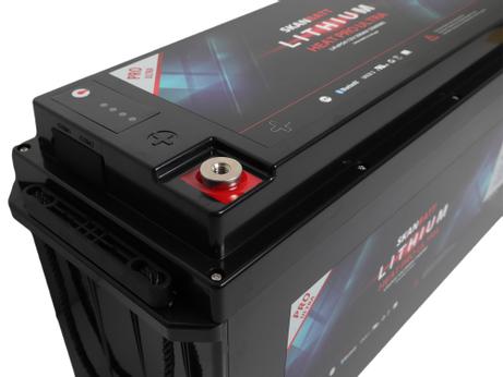Skanbatt LiFePO4 Heat Pro Ultra 12V 200Ah (HPU-200200BS)