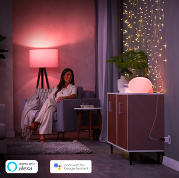 PHILIPS Hue Smart Plug (929003050601)