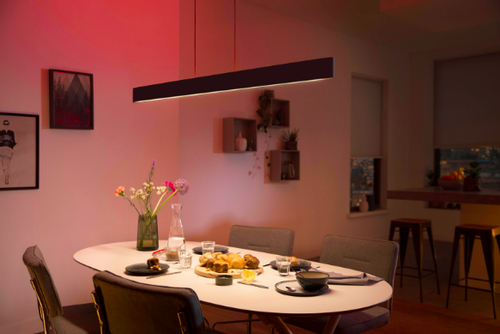 PHILIPS Hue Ensis Loft Pendel Lampe - Sort (929003052501)