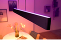 PHILIPS Hue Ensis Loft Pendel Lampe - Sort (929003052501)