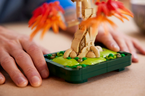 LEGO Botanicals Bonsaitræ: Japansk løn - 10348 (10348)