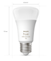 PHILIPS Hue Color A60 E27 1100 Lumen - 1-Pak (929002468801)