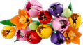 LEGO Botanicals Tulipanbuket - 11501