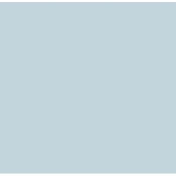 ANTALIS Kopipapir A4 80g pale blue (1619111-000)