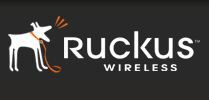 Ruckus Wireless Secure Mounting Bracket for ZoneFlex R300. Mounts to hard wall/ ceiling,  pole, truss.á Includes security screws (Torx & Phillips). Qty 1 (902-0118-0000)