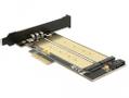 DELOCK PCI Express x4 Card > 1 x internal M.2 Key B + 1 x internal NVMe M.2 Key M - Low Profile Form Factor