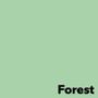 ANTALIS Image Coloraction A4 forest/ middelgroen 120g/m2 pak à 250 vel - Prijs geldig bij een minimale afname per doos (5 pakken per doos) (315746-5)