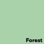 ANTALIS Image Coloraction A4 forest/ middelgroen 120g/m2 pak à 250 vel - Prijs geldig bij een minimale afname 48 dozen (Hele pallet) (315746-240)