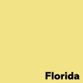 ANTALIS Image Coloraction A3 florida/ geel 80g/m2 pak à 500 vel - Prijs geldig bij een minimale afname per doos (5 pakken per doos) (302291-5)