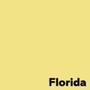 ANTALIS Image Coloraction A3 florida/ geel 80g/m2 pak à 500 vel - Prijs geldig bij een minimale afname per doos (5 pakken per doos) (302291-5)
