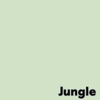 ANTALIS Image Coloraction A3 jungle/ lichtgroen 160g/m2 pak à 250 vel - Prijs geldig bij een minimale afname per doos (5 pakken per doos) (452954-100)