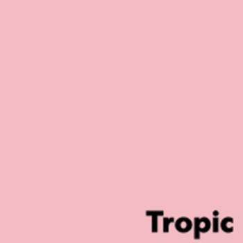 ANTALIS Image Coloraction A4 tropic/ roze 120g/m2 pak à 250 vel - Prijs geldig bij een minimale afname 48 dozen (Hele pallet) (315713-240)