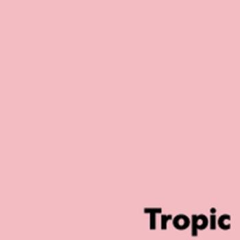 ANTALIS Image Coloraction A3 tropic/ roze 160g/m2 pak à 250 vel - Prijs geldig bij een minimale afname 20 dozen (Hele pallet) (452950-100)