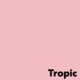 ANTALIS Image Coloraction A3 tropic/ roze 160g/m2 pak à 250 vel - Prijs geldig bij een minimale afname 20 dozen (Hele pallet) (452950-100)