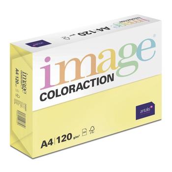 ANTALIS Image Coloraction A4 canary/ kanariegeel 120g/m2 pak à 250 vel - Prijs geldig bij een minimale afname per doos (451219-5)