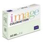 ANTALIS Image Coloraction A3 jungle/ lichtgroen 80g/m2 pak à 500 vel - Prijs geldig bij een minimale afname 20 dozen (Hele pallet) (380906-100)