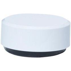 Maul Whiteboard-magneten Wit 2 kg draagkracht 34 mm 20 Stuks (6178102)