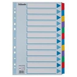 ESSELTE Blanco Tabbladen A4 Kleurenassortiment 12 tabs Karton 11 Gaten 100169 (100169)