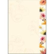 SIGEL DP788 Design papier A4 Mat 90 g/m² 21 x 29,7 cm Kleurenassortiment 50 Vellen