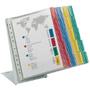 Durable Zichtpanelensysteem 20 Panelen A4 Staal Kleurenassortiment