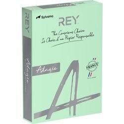 REY Adagio A4 Gekleurd papier Pastelgroen 160 g/m² 250 Vellen (RYADA160X418)