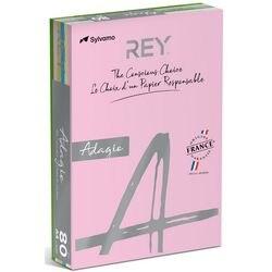 REY Adagio A4 Gekleurd papier Kleurenassortiment 80 g/m² 5 x 100 Vellen (RYADA080X910)