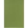 FALKEN Dossiermap A4 Groen Manila 250 g/m²