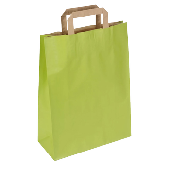 RAJA Draagtas Papier Groen 17 x 28 x 45 cm 50 Stuks (PP27G)