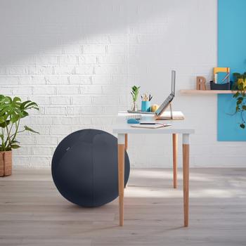 LEITZ Ergo Cosy Actieve zitbal 5279 met handvat en wasbare hoes 65 cm tot 100 kg grijs (52790089)