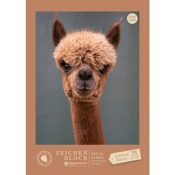 Staufen Dürer Grafisch tekenblok A4 18 vellen 100 g/m² 4 motieven Multikleur (55427)