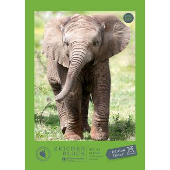 Staufen Dürer Grafisch tekenblok A4 18 vellen 100 g/m² 4 motieven Multikleur (55427)