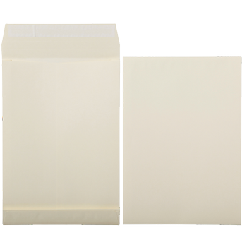 VIKING Niet standaard Kleefstrip Zak-enveloppen Crème 262 (B) x 371 (H) mm Zonder venster 170 g/m² 125 Stuks (30130831)