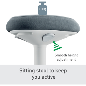 LEITZ Ergo Wiebel zitkruk 6544 met verstelbare comfortzitting 47 - 64 cm tot 110 kg lichtgrijs (65440085)