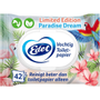 Edet Paradise Dream Vochtig toiletpapier 28879987 42 Vellen