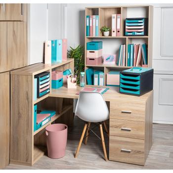 EXACOMPTA Skandi 30 mm Ringband PP (Polypropeen) A4 maxi 2 Ringen Kleurenassortiment 54470E 4 Stuks (54470E)