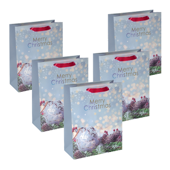 SIGEL Large Geschenktas Papier Multikleur 26 x 12 x 33 cm 5 Stuks (GT114)