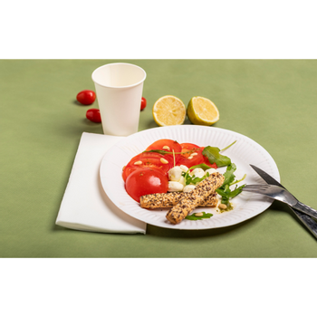 Pronappe Eetbord Wit 23 x 23 x 4,5 cm 50 Stuks (79110I)