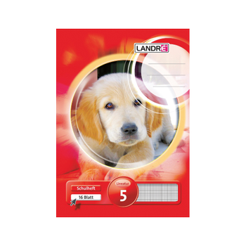 Landré A5 80 g/m² 16 vellen geruit 5mm (100050071)