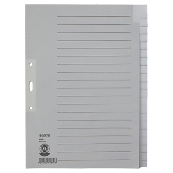 LEITZ Blanco Tabbladen A4+ Grijs 20 tabs Karton 3 Gaten 60960085 (60960085)